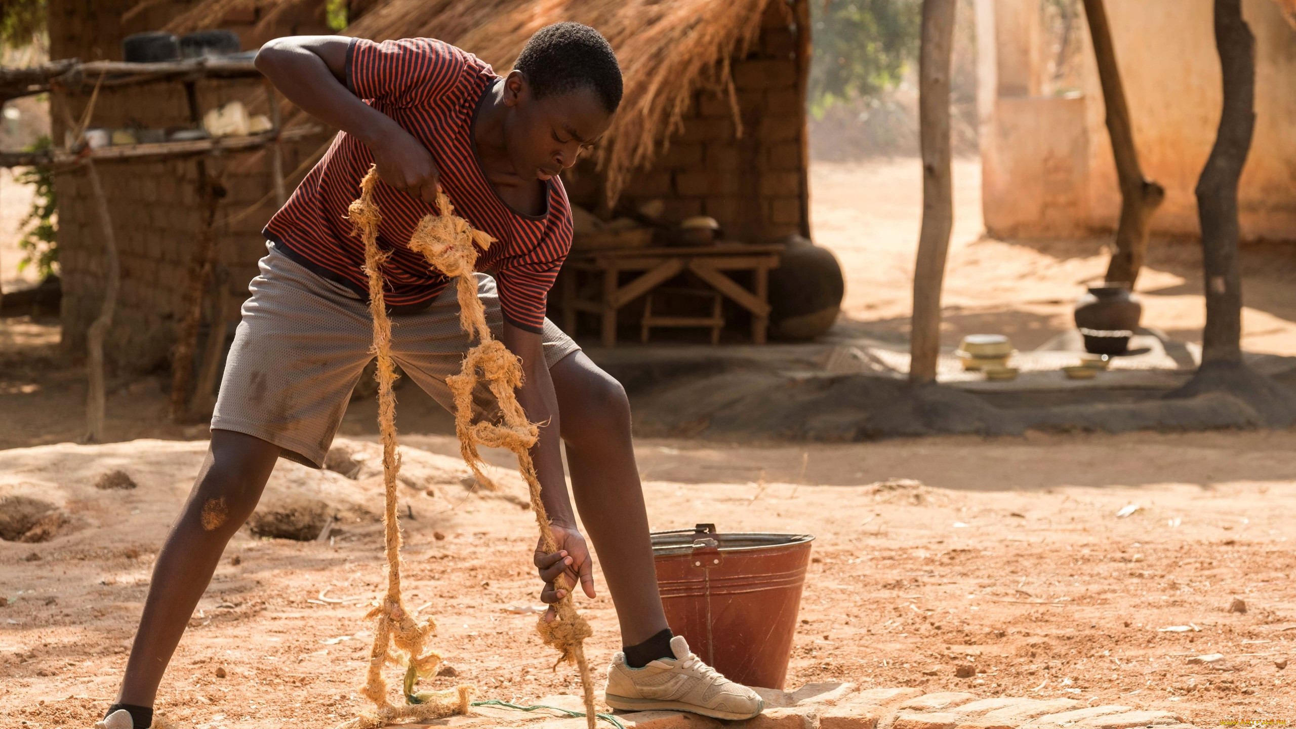  , the boy who harnessed the wind, the, boy, who, harnessed, wind